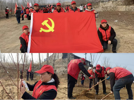 五分公司：学雷锋植树添绿践初心